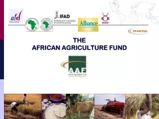 THE AFRICAN AGRICULTURE FUND
