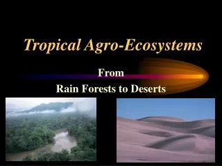 Tropical Agro-Ecosystems