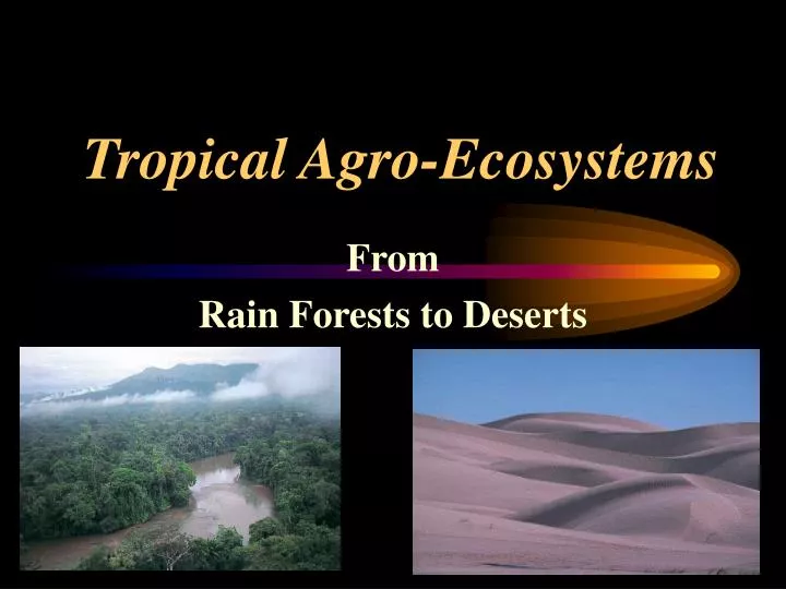 tropical agro ecosystems