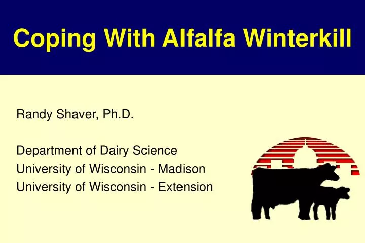 coping with alfalfa winterkill
