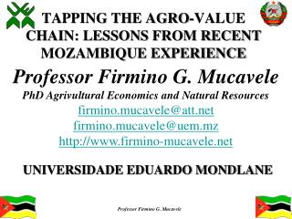 TAPPING THE AGRO-VALUE CHAIN: LESSONS FROM RECENT MOZAMBIQUE EXPERIENCE