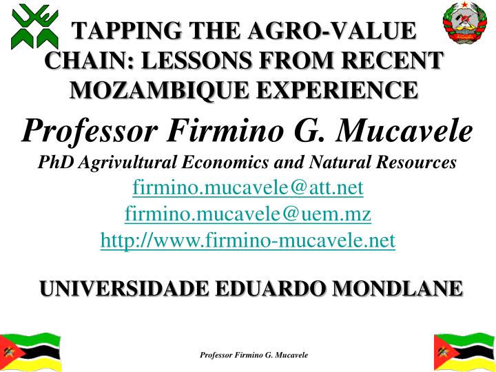 tapping the agro value chain lessons from recent mozambique experience