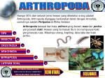 ARTHROPODA