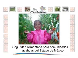 Seguridad Alimentaria para comunidades mazahuas del Estado de México