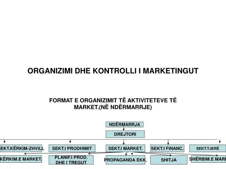 organizimi dhe kontrolli i marketingut