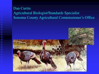 Dan Curtin Agricultural Biologist/Standards Specialist Sonoma County Agricultural Commissioner’s Office