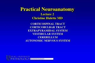 Practical Neuroanatomy Lecture 2 Christine Hulette MD