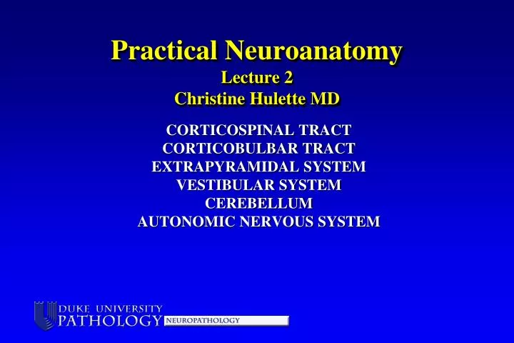 practical neuroanatomy lecture 2 christine hulette md
