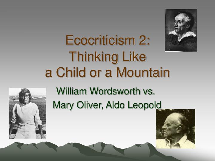ecocriticism 2 thinking like a child or a mountain