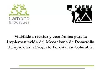 Viabilidad técnica y económica para la Implementación del Mecanismo de Desarrollo Limpio en un Proyecto Forestal en Colo