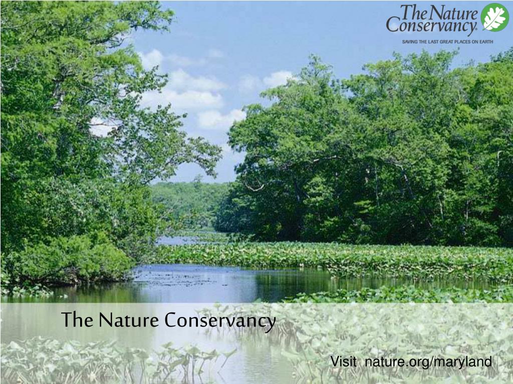 PPT - The Nature Conservancy PowerPoint Presentation, free download ...