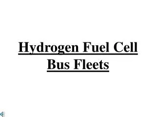 Hydrogen Fuel Cell Bus Fleets
