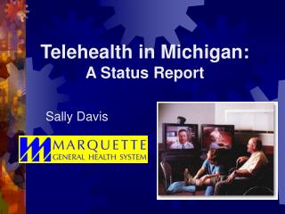Telehealth in Michigan: A Status Report