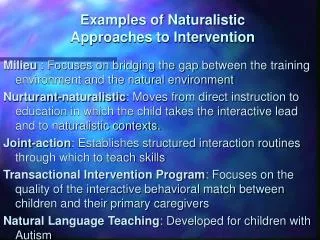 Examples of Naturalistic Approaches to Intervention