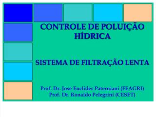 CONTROLE DE POLUIÇÃO HÍDRICA SISTEMA DE FILTRAÇÃO LENTA Prof. Dr. José Euclides Paterniani (FEAGRI) Prof. Dr. Ronaldo Pe