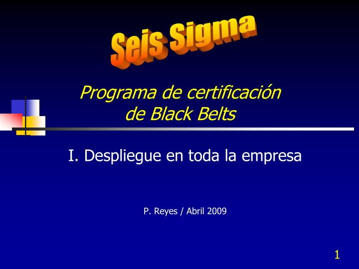 programa de certificaci n de black belts