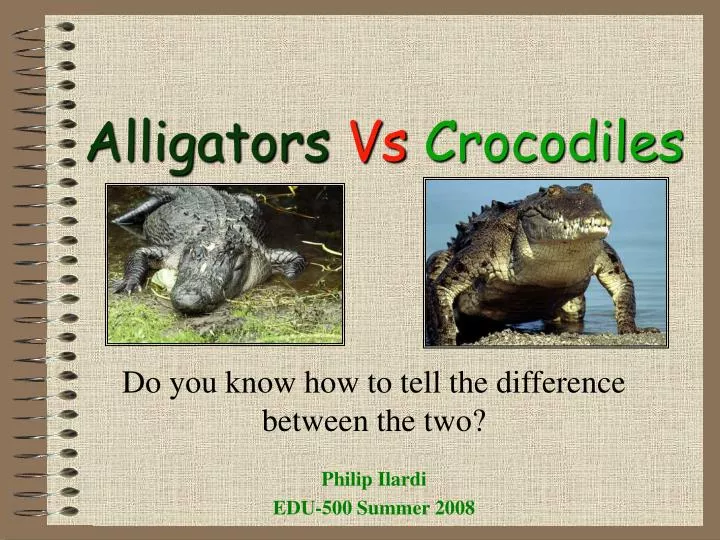 alligators vs crocodiles