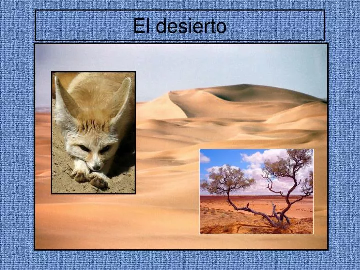 el desierto