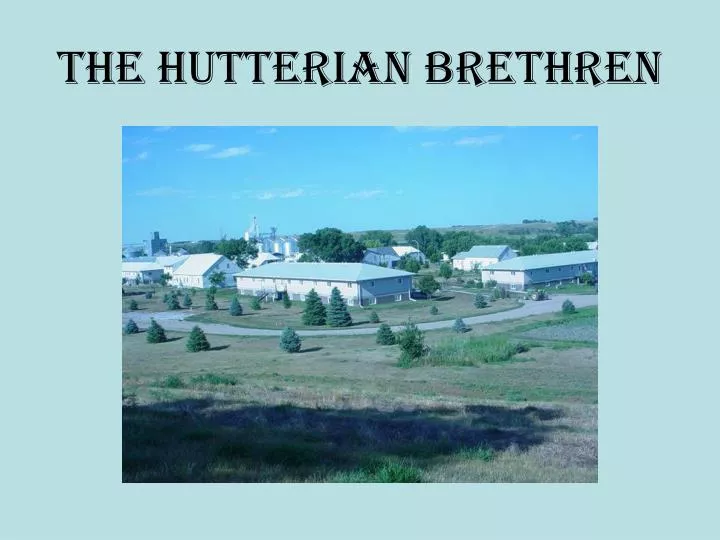 the hutterian brethren