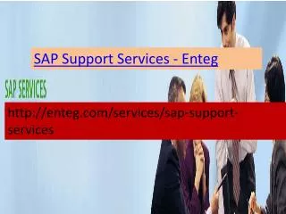 Enteg SAP Support Services
