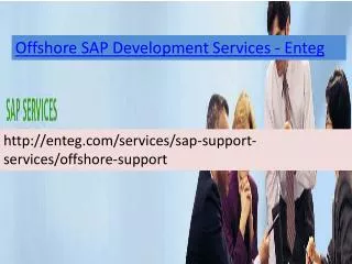 Enteg Offshore SAP Development Services