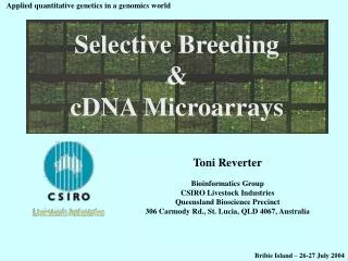 Selective Breeding &amp; cDNA Microarrays