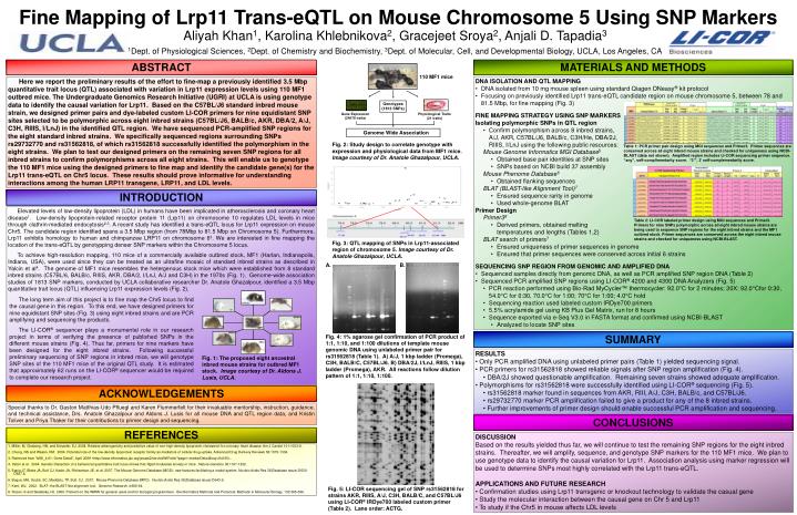 fine mapping of lrp11 trans eqtl on mouse chromosome 5 using snp markers