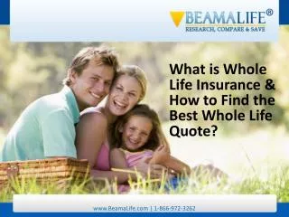 What is Whole Life Insurance & How to Find the Best Whole Li