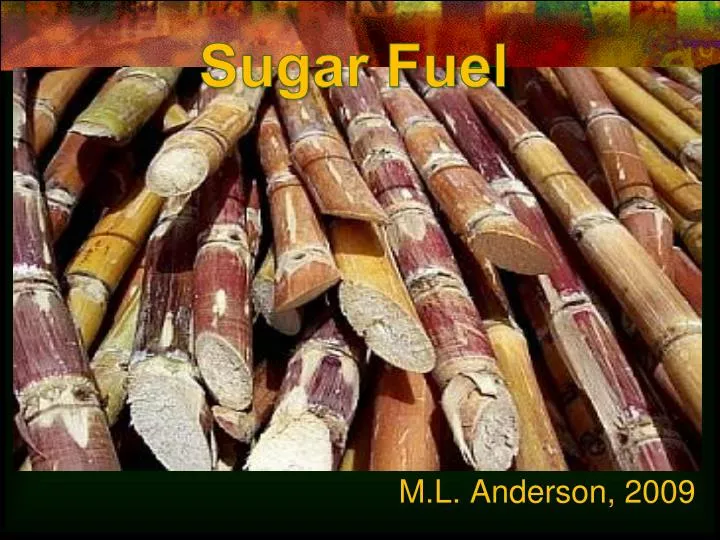 sugar fuel