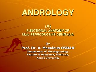 ANDROLOGY (A) FUNCTIONAL ANATOMY OF Male REPRODUCTIVE GENITALIA
