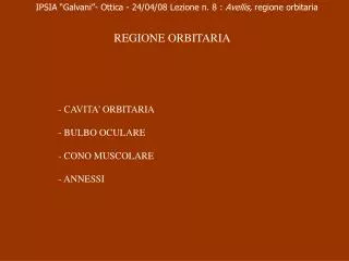 - CAVITA’ ORBITARIA - BULBO OCULARE - CONO MUSCOLARE - ANNESSI