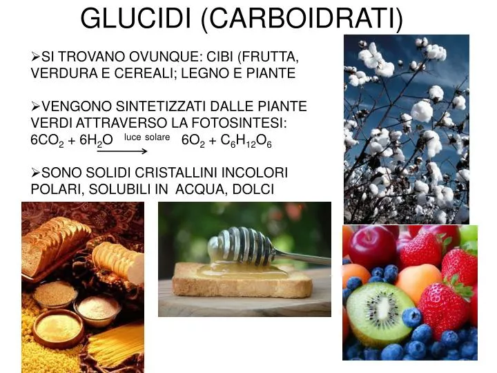 glucidi carboidrati