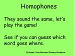 Homophones - slide 1
