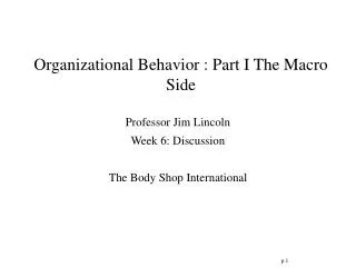 Organizational Behavior : Part I The Macro Side