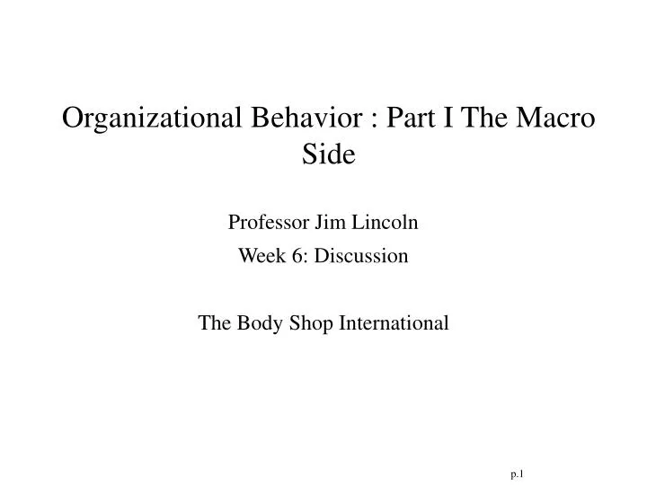 organizational behavior part i the macro side