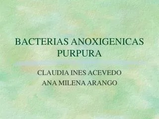 BACTERIAS ANOXIGENICAS PURPURA