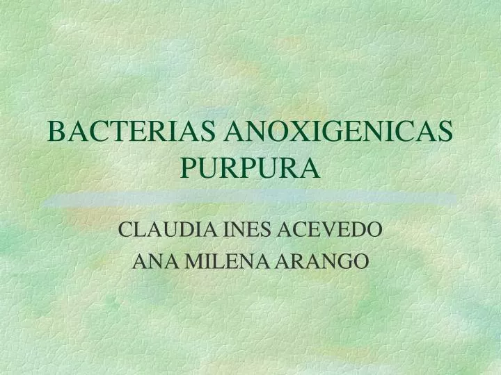 bacterias anoxigenicas purpura