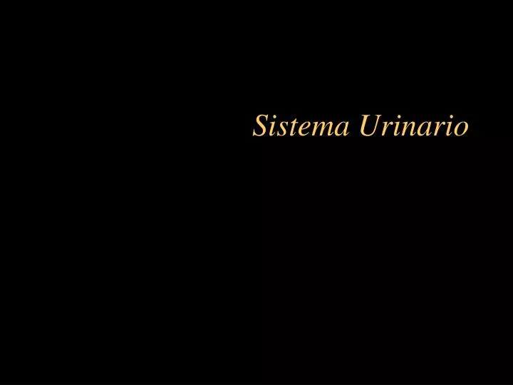 PPT - Sistema Urinario PowerPoint Presentation, Free Download - ID:194569