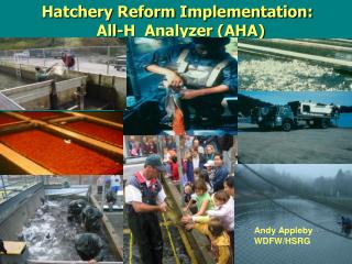 Hatchery Reform Implementation: All-H Analyzer (AHA)