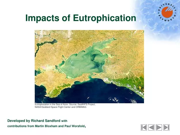impacts of eutrophication