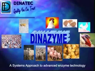 A Systems Approach to advanced enzyme technology