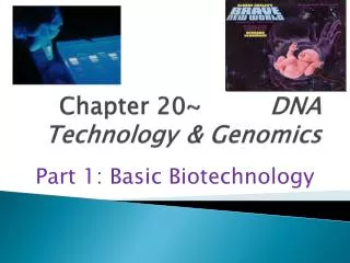 Chapter 20~		 DNA Technology 	&amp; Genomics