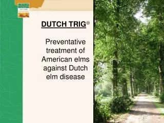 DUTCH TRIG ® Preventative treatment of American elms against Dutch elm disease