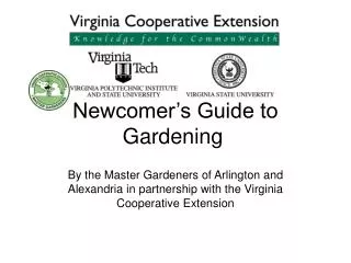 Newcomer’s Guide to Gardening