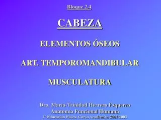CABEZA ELEMENTOS ÓSEOS ART. TEMPOROMANDIBULAR MUSCULATURA