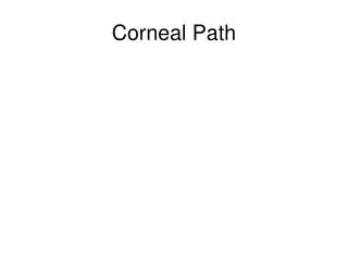 Corneal Path