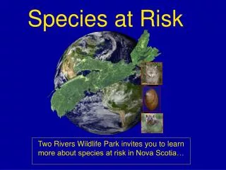 Species at Risk