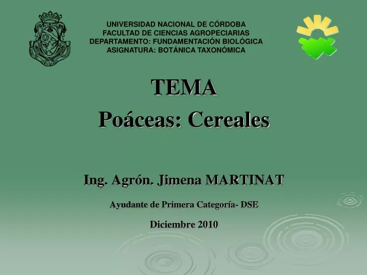 tema po ceas cereales ing agr n jimena martinat ayudante de primera categor a dse diciembre 2010