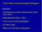 Ticks, Mites and Associated Pathogens Overview: Characteristics of the subclass Acari (ticks and mites) Metastigmatid mi - slide 1