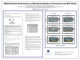 CMAQ Runtime Performance as Affected by Number of Processors and NFS Writes